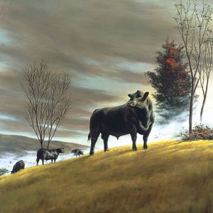 Meet your Posher, Jayson